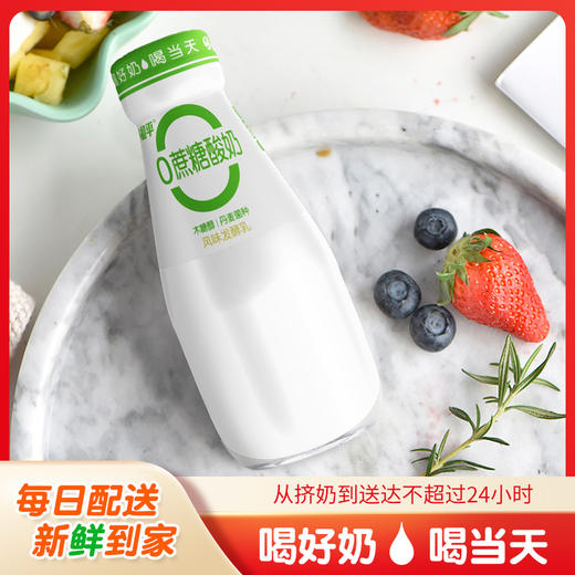 【教师订奶】木糖醇益生菌酸牛奶 商品图0