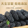【自营】天山公主新疆特产精选无沙黑桑葚干补气养生泡水泡茶500g/袋 商品缩略图1