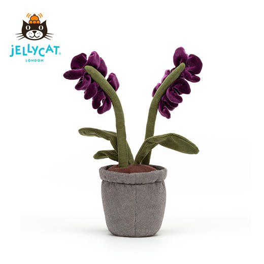 Jellycat 趣味兰花 商品图4