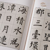 【绝版好书】溥儒日月潭教師會館碑 商品缩略图6