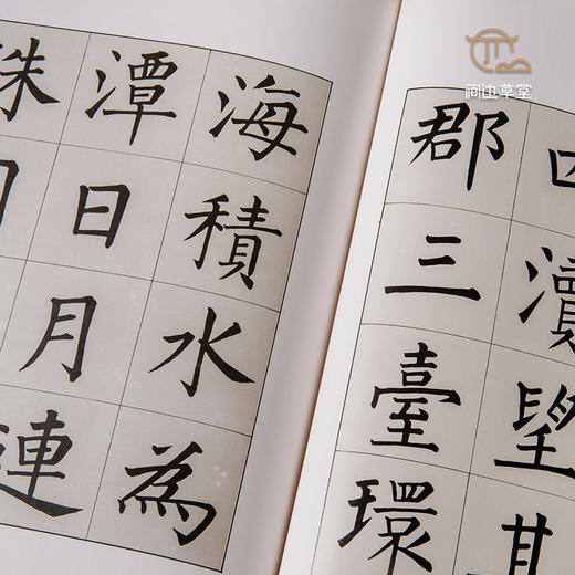【绝版好书】溥儒日月潭教師會館碑 商品图6