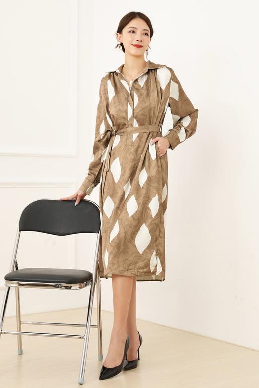 ELLA JADE 浅咖色翻领光泽抽象印花连衣裙 13535 商品图2