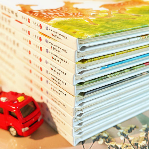 中国娃娃 精装全10册 心理篇  2-7岁  儿童文学作家保冬妮作品 金波推荐 商品图2