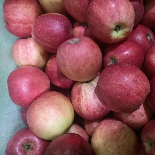 有机早熟苹果瑕疵果（不售后，介意慎拍） | 合作生产 *Organic precocious apple | Coproduction 商品图4