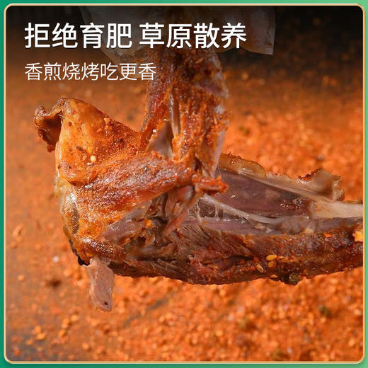 有机苏尼特羔羊肉-小腿 /内蒙古大草原 商品图10