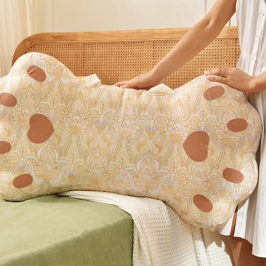 月光白佩斯利猫爪枕头荞麦壳助睡眠中空纤维棉床头靠 商品图2