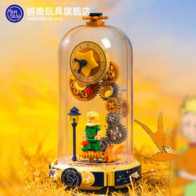 拼奇小王子·时光穿梭