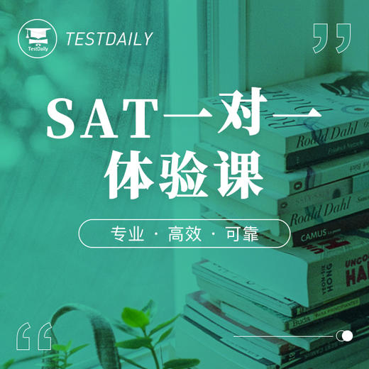 SAT一对一体验课@TD 商品图0