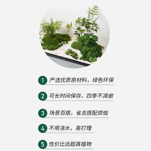 【仿真绿植造景】森林的声音-1份室内软装搭配花槽假苔藓布置摆设橱窗微景观装饰上门布置 商品图2