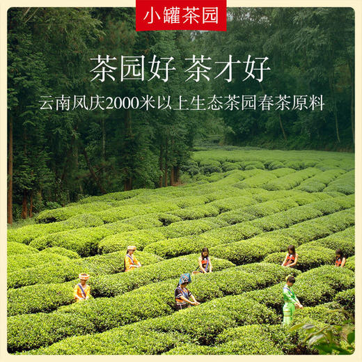 【新品】小罐茶 滇红茶 小罐茶园单罐装 5A中国茶 125g【现货】 商品图1