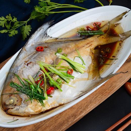 舟山冰鲜银鲳鱼1KG/袋 商品图5