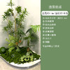 【仿真绿植造景】百合竹仿真绿植造景入户楼梯橱窗景观玄关角落植物装饰摆件上门布置 商品缩略图2