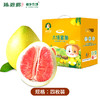 臻碧乡x梅州大埔红肉蜜柚丨生态养殖(合作果园) Red Flesh Pomelo 商品缩略图11