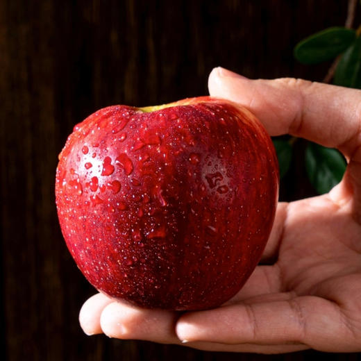 【新品】天沐农蜜·红露苹果 商品图2