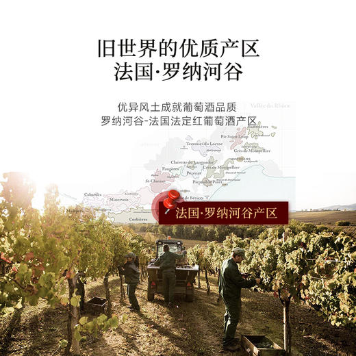 【独特封蜡技术】菲特瓦·伯恩干红葡萄酒 罗纳河谷AOP 15%vol 商品图6