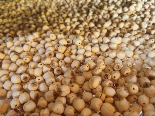 通芯白莲子(建莲)·返乡青年江禄 商品图0