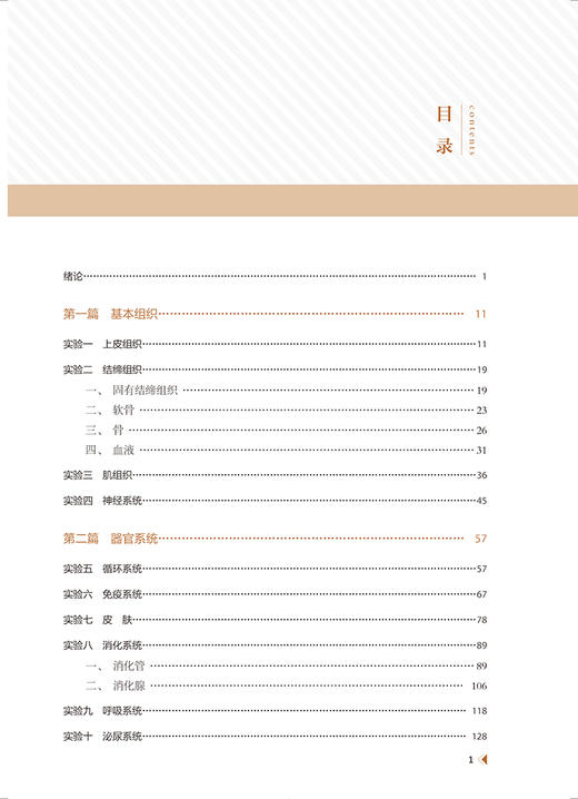 医学形态学实验 组织学与胚胎学 吴俊主编 北京大学新途径教学改革系列教材 基础医学实验 北京大学医学出版社9787565924859 商品图3