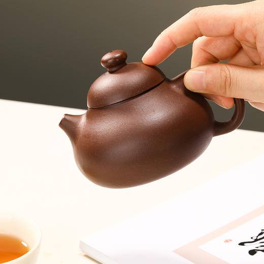 梵匠丨文旦 家藏自练老紫泥 宜兴原矿紫砂壶 150cc 经典实用小品 收藏紫砂艺术品 商品图3