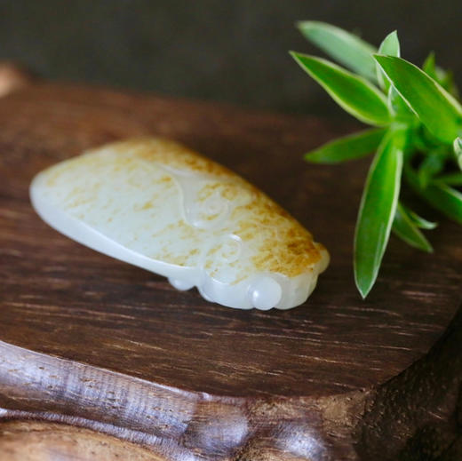 和田玉（白玉 ）子料挂件--蝉19.55g 商品图6