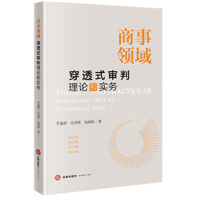 商事领域穿透式审判理论和实务  茅迪群 庄鸿钦 包铭欣著