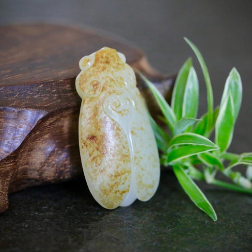 和田玉（白玉 ）子料挂件--蝉19.55g 商品图1