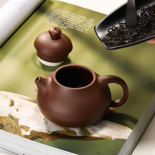 梵匠丨文旦 家藏自练老紫泥 宜兴原矿紫砂壶 150cc 经典实用小品 收藏紫砂艺术品 商品图2