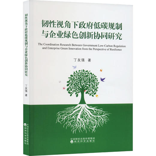 韧性视角下政府低碳规制与企业绿色创新协同研究 商品图0