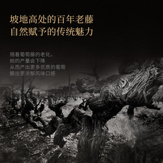 【独特封蜡技术】菲特瓦·伯恩干红葡萄酒 罗纳河谷AOP 15%vol 商品图8