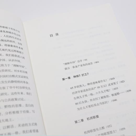 《花村肖像:转型中国的农民生活》 商品图14