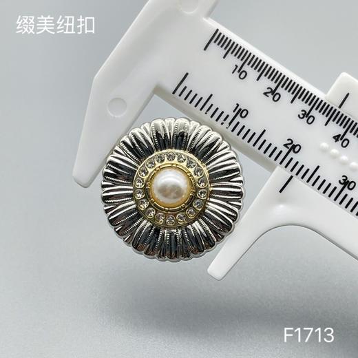 F1713 商品图4