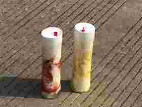 招牌酸奶冰粉（周二秒杀）所有门店可提货