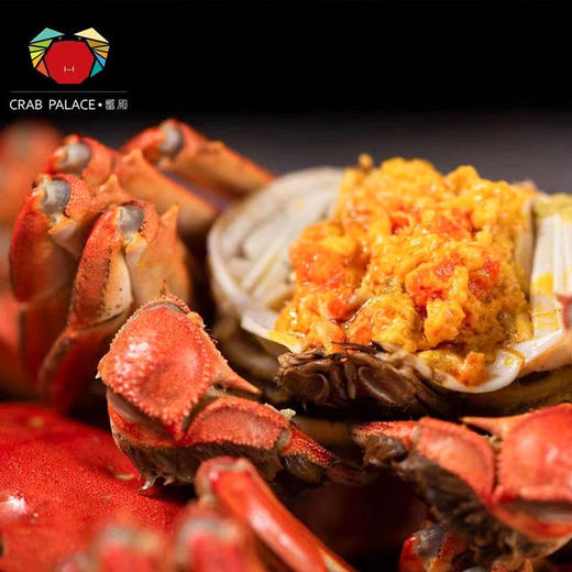 蟹殿 2023年阳澄湖大闸蟹 蟹卡发售 阳澄湖基地直发 【下单送辅料大礼包蟹具+紫苏+姜茶+蟹醋】 商品图6