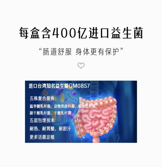 灿活Y-氨基丁酸蛋白粉  (10gx40袋/盒x1)/(10gx40袋/盒x2)/(10gx40袋/盒x3) 商品图2