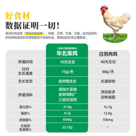 德州扒鸡原汁华北柴鸡500g/原汁笨鸡550g-保质期2个月 顺丰发货 非遗技艺山东特产 商品图3
