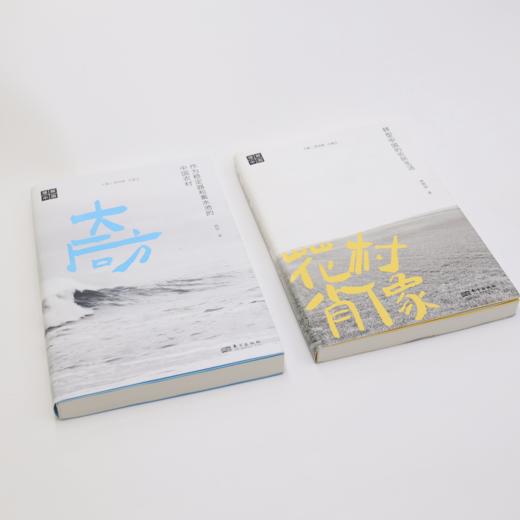 《花村肖像:转型中国的农民生活》 商品图12