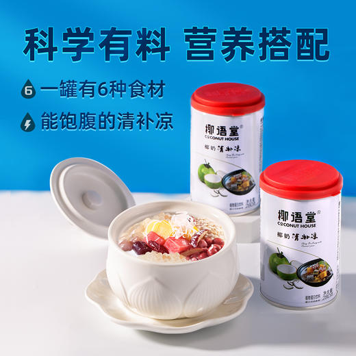 海南特产椰语堂椰奶 清补凉海南发货280g*12罐 商品图3
