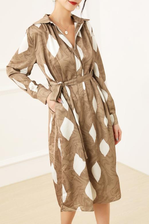 ELLA JADE 浅咖色翻领光泽抽象印花连衣裙 13535 商品图0