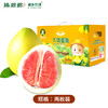 臻碧乡x梅州大埔红肉蜜柚丨生态养殖(合作果园) Red Flesh Pomelo 商品缩略图10