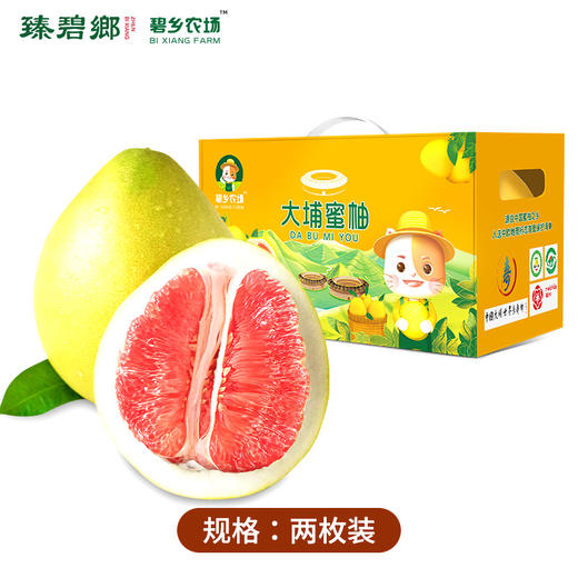 臻碧乡x梅州大埔红肉蜜柚丨生态养殖(合作果园) Red Flesh Pomelo 商品图10