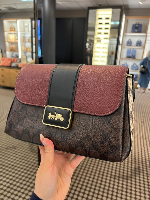 美国现货¥1299直邮！Coach Grace系列大号腋下包 商品图2