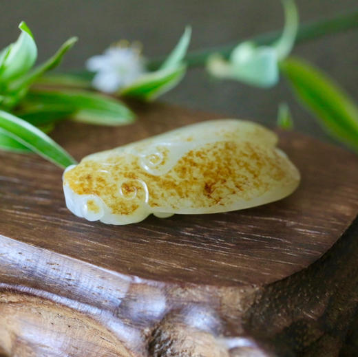 和田玉（白玉 ）子料挂件--蝉19.55g 商品图4
