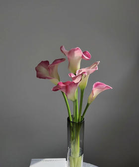 【马蹄莲】国产 (艾玛)  浅粉色  5枝/扎