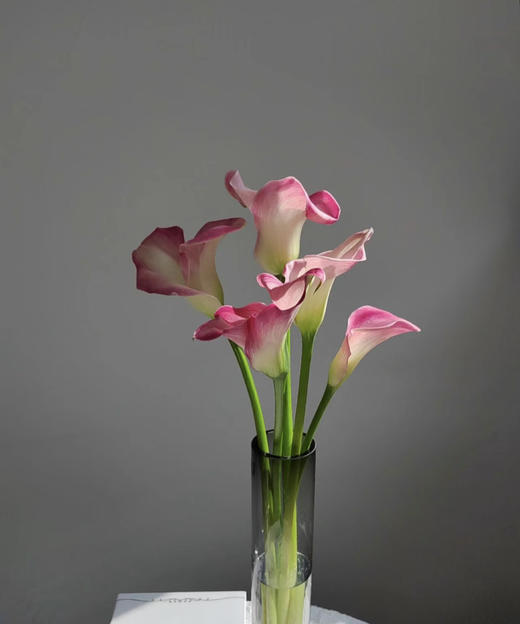 【马蹄莲】国产 (艾玛)  浅粉色  5枝/扎 商品图0