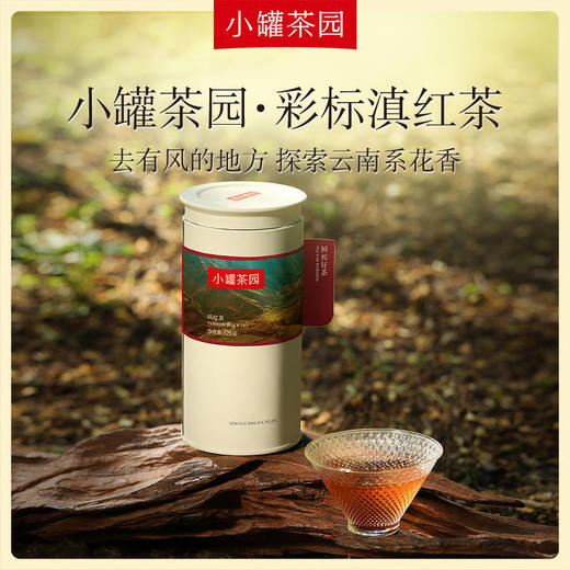 【新品】小罐茶 滇红茶 小罐茶园单罐装 5A中国茶 125g【现货】 商品图0