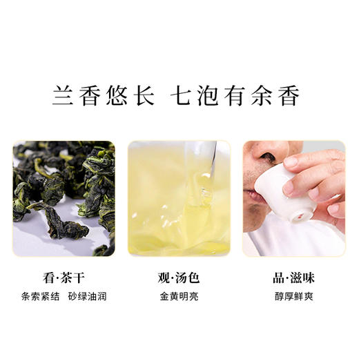 魏氏茶  魏氏香1725 安溪铁观音清香典范 水中香 香中韵 韵后回甘 天花板级别 22.5克/盒 （3泡） 商品图5