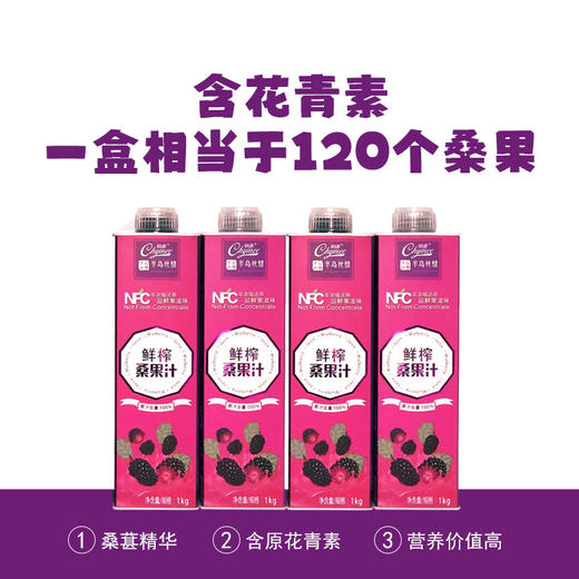 【鲜果冷榨】紫美100%NFC桑果汁 商品图4