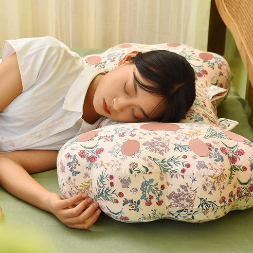 雅蕊系列猫爪枕头双色荞麦壳助睡眠中空纤维棉床头靠 商品图1