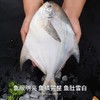 舟山冰鲜银鲳鱼1KG/袋 商品缩略图1