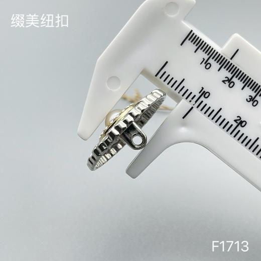 F1713 商品图5