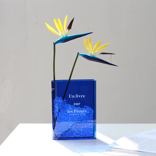 简约北欧ins网红亚克力书籍花瓶 透明彩色书本花瓶 客厅软装摆件 商品图4